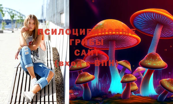 кокс Абаза