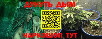тгк Можга
