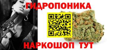 тгк Можга