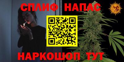 амф Моздок